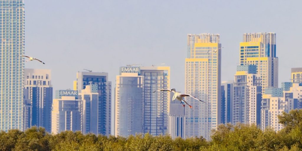 This article is a practical, data-driven guide to buying or renting Dubai Creek Harbour apartments in 2026, explaining why the district is attracting buyers and...