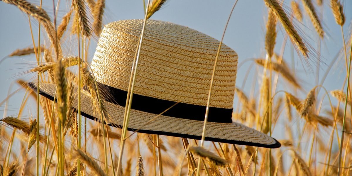Navigating complex financial decisions can feel overwhelming without expert guidance.